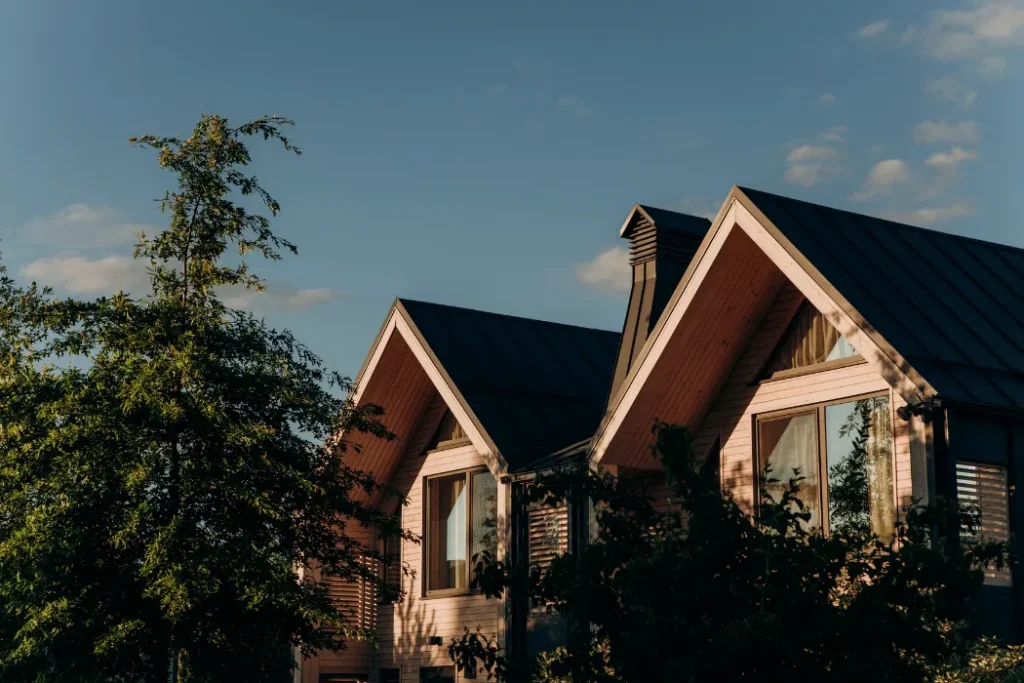 Home Improvement Advice (4)